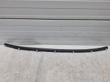 Hood Weatherstrip